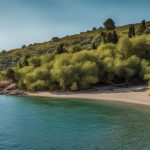 Grecja Lesbos pogoda kwiecień