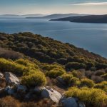 Grecja Lesbos pogoda styczeń